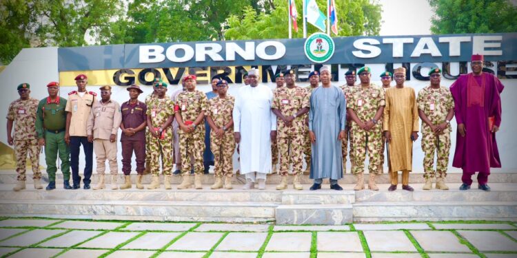 Defeating Terrorism Requires Public Support, Intelligence Sharing — COAS Tells Zulum