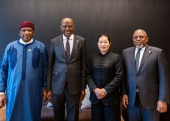 CBN Gov. Moves to Enhance Financial Connectivity Between Nigeria and China