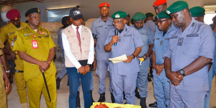 Customs Hands Over Seized Toxic Herbicides, Cannabis, Ammunition To NAFDAC, NDLEA, NCCSALW In Kebbi