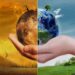 Africa Climate Forum 2026 To Focus On Turning Ambitions Into Action