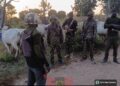 Troops Neutralise 3 Terrorists, Recover Rifle, Motorcycle, Rustled Cattle In Kaduna, Zamfara