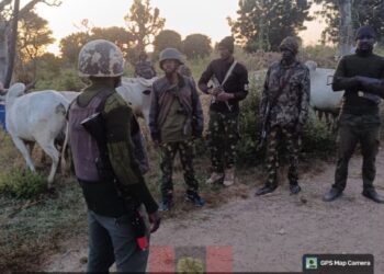 Troops Neutralise 3 Terrorists, Recover Rifle, Motorcycle, Rustled Cattle In Kaduna, Zamfara