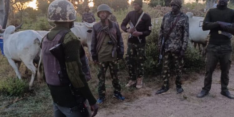 Troops Neutralise 3 Terrorists, Recover Rifle, Motorcycle, Rustled Cattle In Kaduna, Zamfara