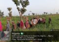 Military Rescues 27 Kidnap Victims in Katsina