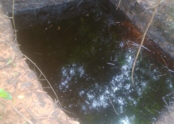 Navy Uncovers 114,500 LTRs of Stolen Petroleum Products in Rivers, Arrests 10 Drugs Suspects