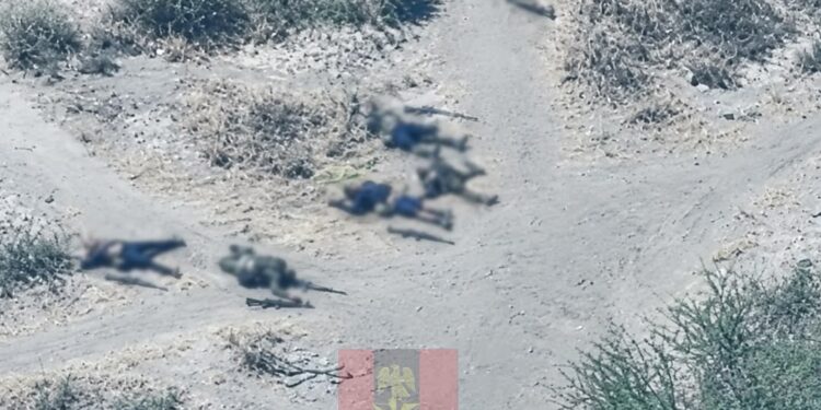 Troops Kill 44 Terrorists In Borno, Lake Chad Operations