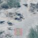 Troops Kill 44 Terrorists In Borno, Lake Chad Operations