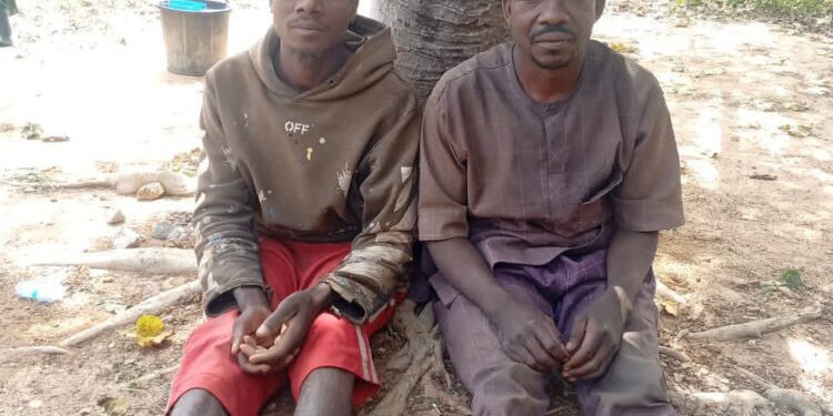 Troops Neutralise 8 Terrorists, Rescue 3 Victims In Katsina, Kaduna, Zamfara