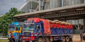 TARAKU MILLS BEGINS FIRST PHASE OF TEST PRODUCTION