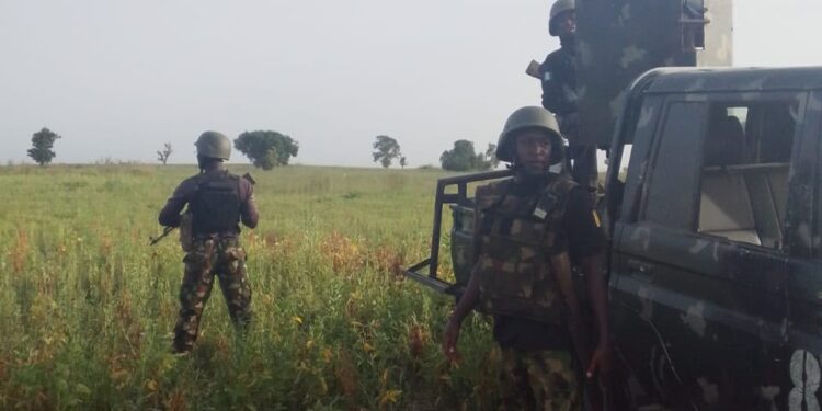 Troops Rescue Kidnap Victim, Recover 18 Rustled Cattle in Kebbi