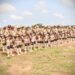 COAS Graduates Full Special Forces Battalion To Boost Counter-Terrorism Operations